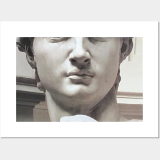 David (Michelangelo) Posters and Art